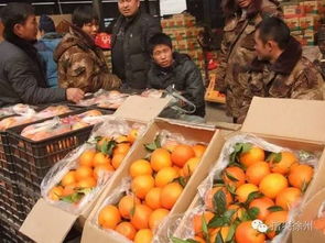 看过100篇“徐州生活指南”，我却只收藏了这一篇——农副产品终极篇