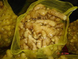 品味山东辣，尝鲜姜味莱芜兴达——150g保鲜姜的品质担当